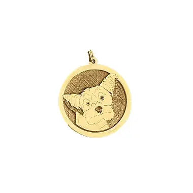 Medalha Pet Personalizada gabriela susanna
